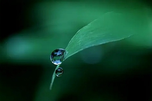 中国气候的临界点出现大面积漂移,雨线北移能否再造一个北方江南回到西周?