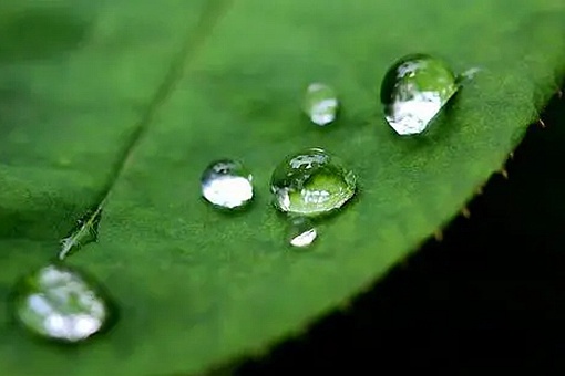 中国气候的临界点出现大面积漂移,雨线北移能否再造一个北方江南回到西周?