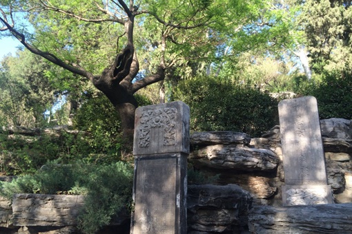 崇祯皇帝吊死的歪脖树在景山哪里 揭秘崇祯皇帝吊死的歪脖树为什么被砍了