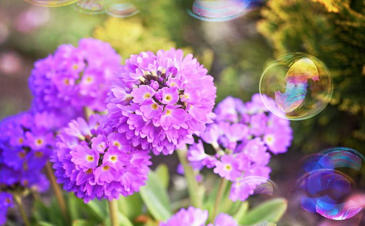 桂花香包保留香味 怎样制作干桂花香包