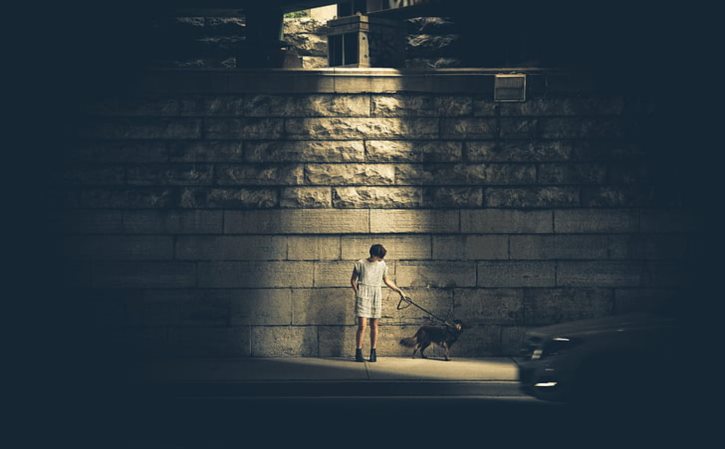 下雨蝴蝶躲在哪 下雨了蝴蝶躲在哪里