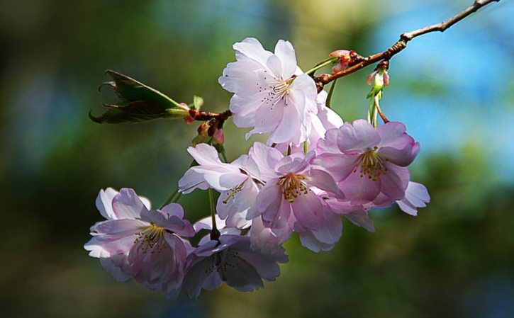 乡村助农宣传稿 美丽乡村宣传稿