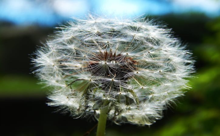 如何在花盆上开洞？花盆上画画