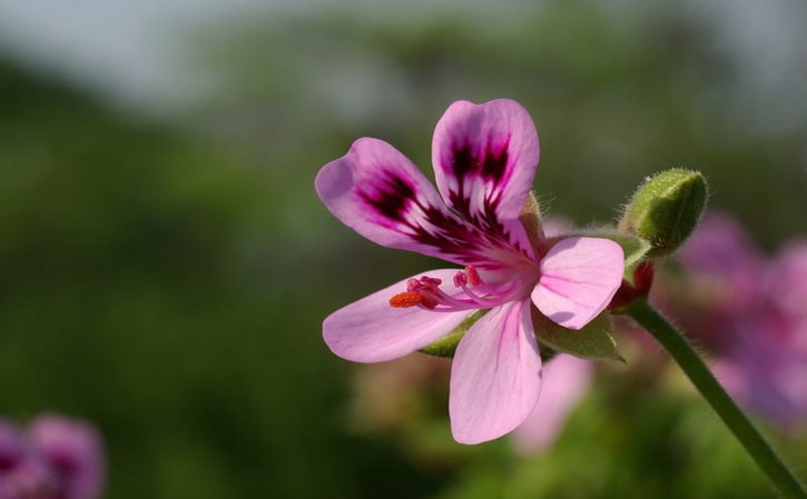 淘宝买的坐垫怎么样,战神电动车坐垫是什么码，想买个坐垫不知道尺寸？