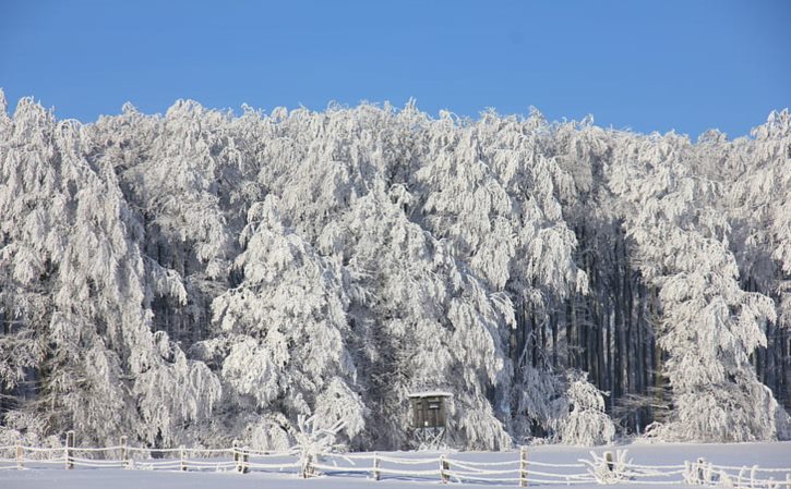 315kva变压器电力糸统,负载很小时,电容全邙自动切除后智能控制器还显示切除？