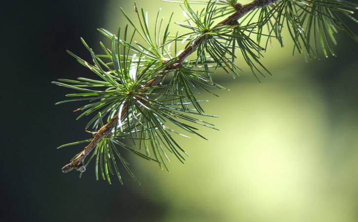 介绍卧室的短文英语 介绍卧室的英语短文40