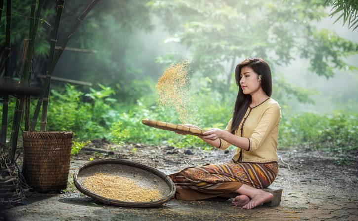 即食鲍鱼鸡哪个牌子的比较好吃？ 即食鲍鱼怎么做