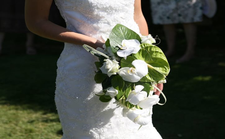 玉兰花嫁接时间 玉兰花嫁接方法