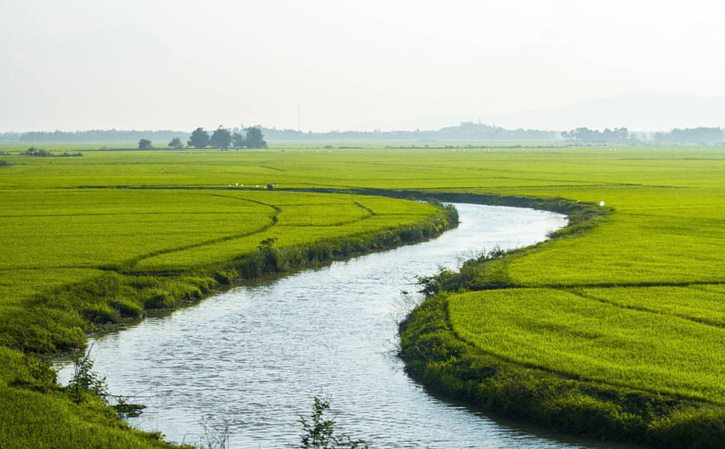 苹果桌面小组件 苹果桌面小组件不显示内容