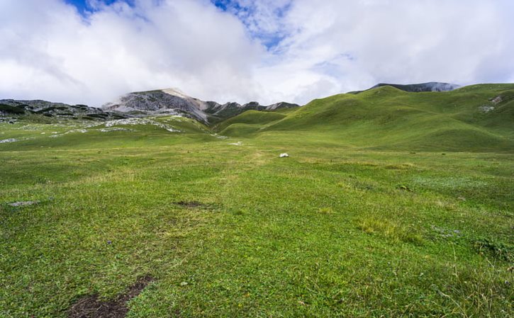 高温杀菌奶可以加热喝吗 高温杀菌牛乳可以加热吗