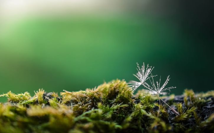 苹果百分百退款成功 苹果二次退款成功案例