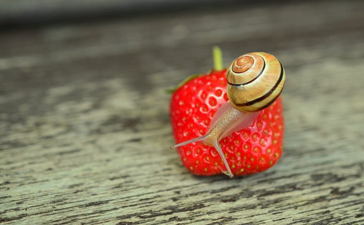 青年节是几月几号 中国青年节在几月几日