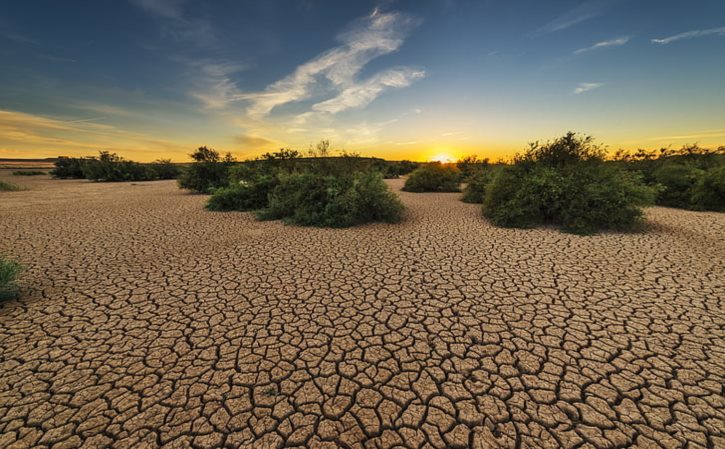 怀旧电影《天罗地网》 天罗地网梁家辉在线