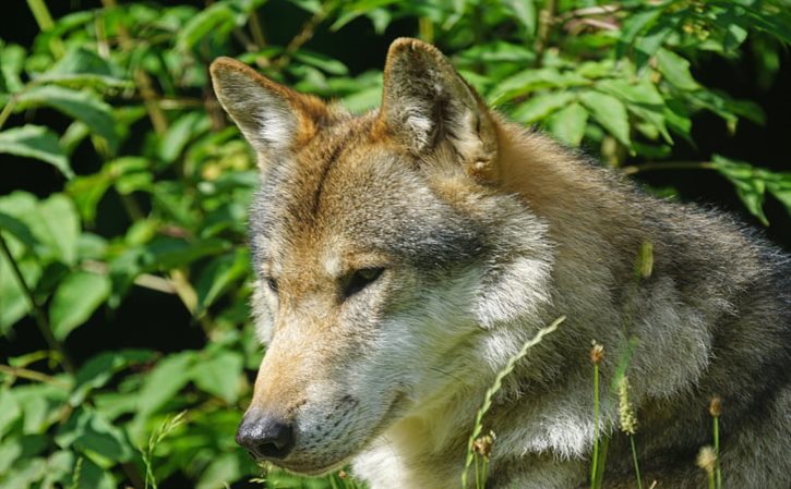 汽车坐垫钩子安装方法 汽车坐垫钩子勾哪里