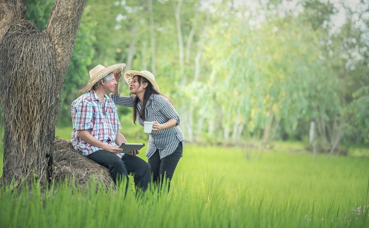 保险公司拒赔后怎么办