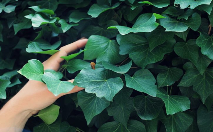 地理生物查分 初二地理生物成绩查询