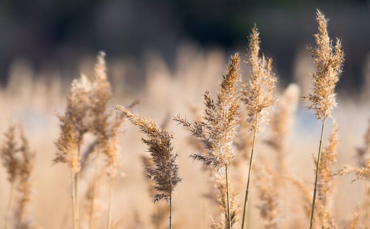 没穿罩做俯卧撑 夏季校服太薄没有罩