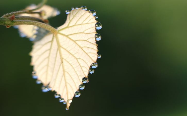 瞌睡可以有哪些词？ 形容瞌睡的幽默句子