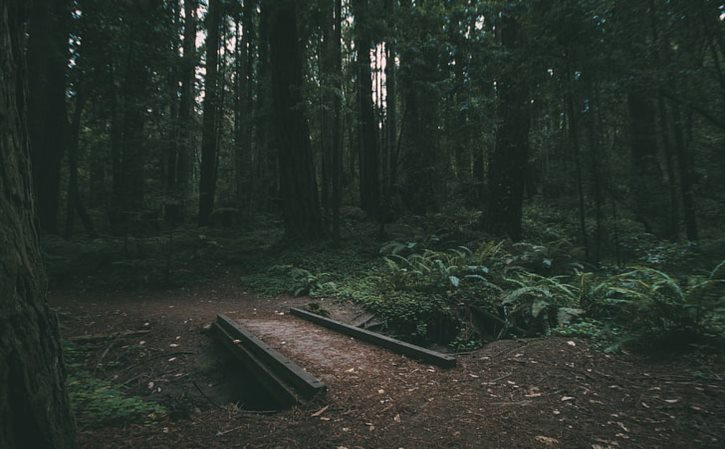 唐山凤凰妇产科医院好嘛 唐山凤凰医院是三甲