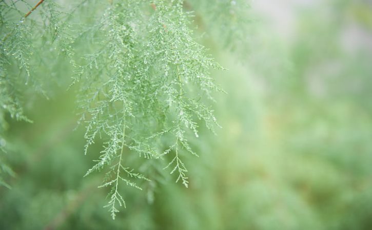 (白云区在哪里考电工证)在广州白云区嘉禾望岗想考电工上岗证，请问附近哪有靠谱的考证机构？