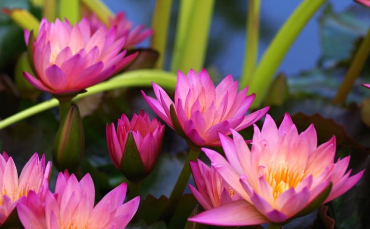 轮胎花纹型号写在哪 一张图看懂轮胎花纹