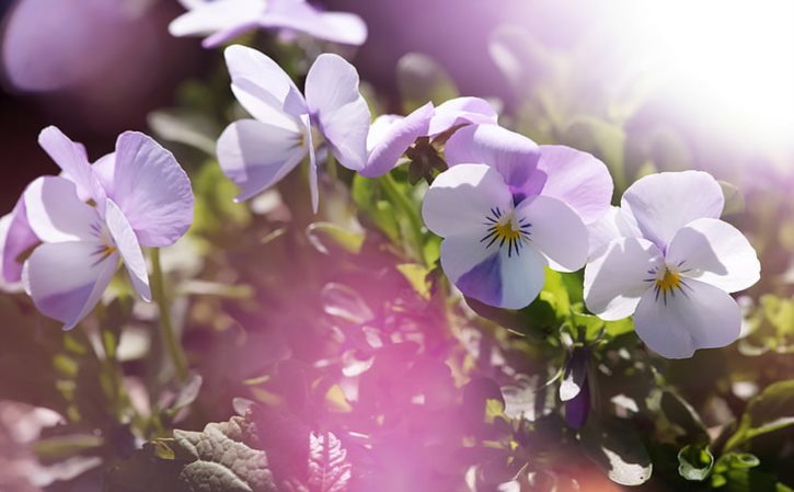 淋浴花洒套装十大名牌 卫生间花洒品牌排行榜