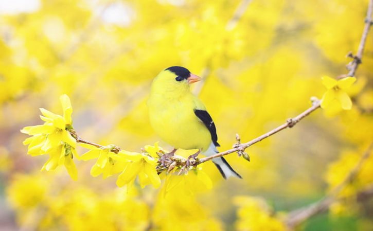 男生心里爱女生 经常吵架受不了女生脾气管他很多 经常逃避说过不爱女生没感情 还是订婚了说好好珍惜了？