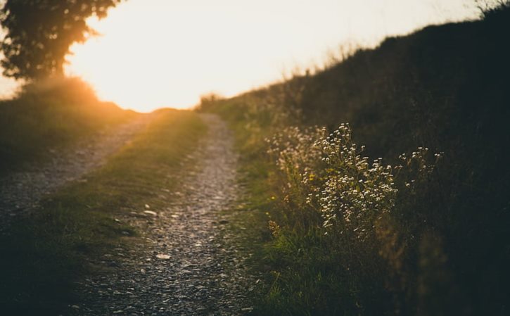 赣州到宁都私家车多少钱 赣州到宁都私家车号码