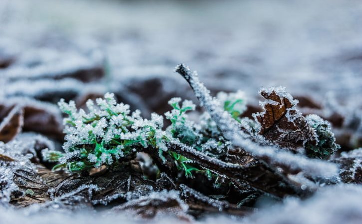 小骄子加高底盘怎么样 换加高加粗弹簧好不好