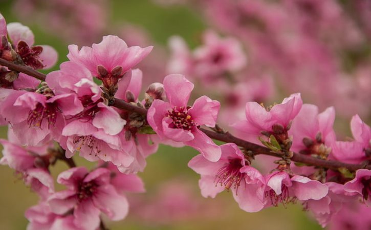 祥和节能集团的节电设备不知道适合哪种行业？我们厂是做机械加工的可以安装吧？