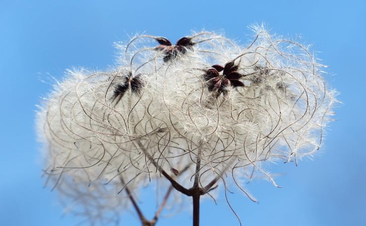 免费桃花运测试(测你的桃花运今日)