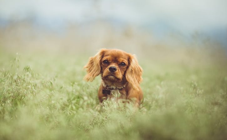 核酸二维码图片 免费一键生成二维码