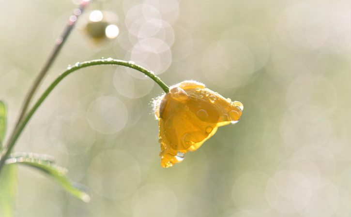 外地人买北京绿牌条件 北京上绿牌的条件