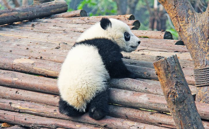 高压水枪内部结构图 高压水枪内部构造图详解