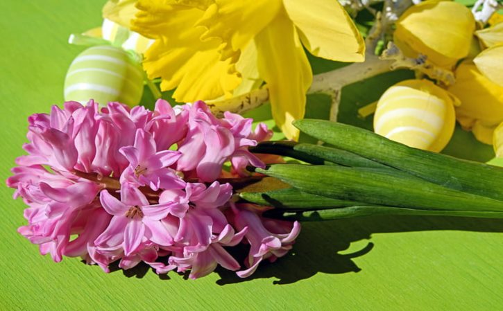 长春电影节门票 长春电影节在哪里开