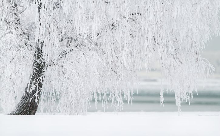 南方为什么适合种水稻