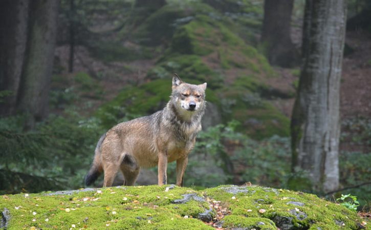 电脑桌面文件？ 桌面文件夹路径