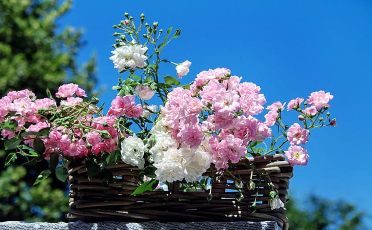 电动葫芦安装示意图 电动葫芦图片