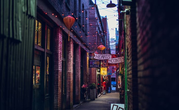 大朗花鸟市场在哪里(鞍山家和宠物市场时间)