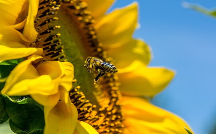 (不锈钢护窗怎样算平方)不锈钢防护栏杆工程量怎么计算？