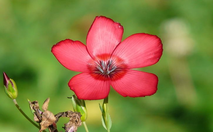 开青春之苔花留时代之芳华 聚青春之火燃时代之光演讲稿