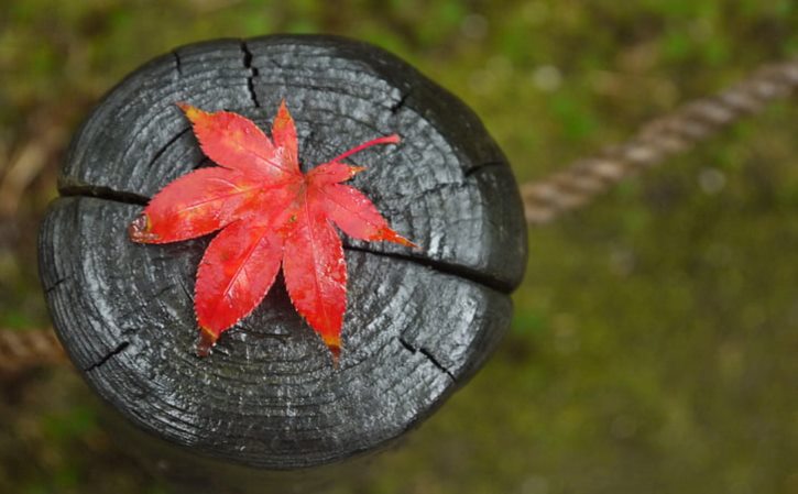 生病了别人关心咋回复 朋友生病怎么幽默回复